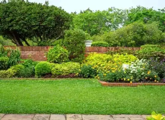 landscaping services Salyersville